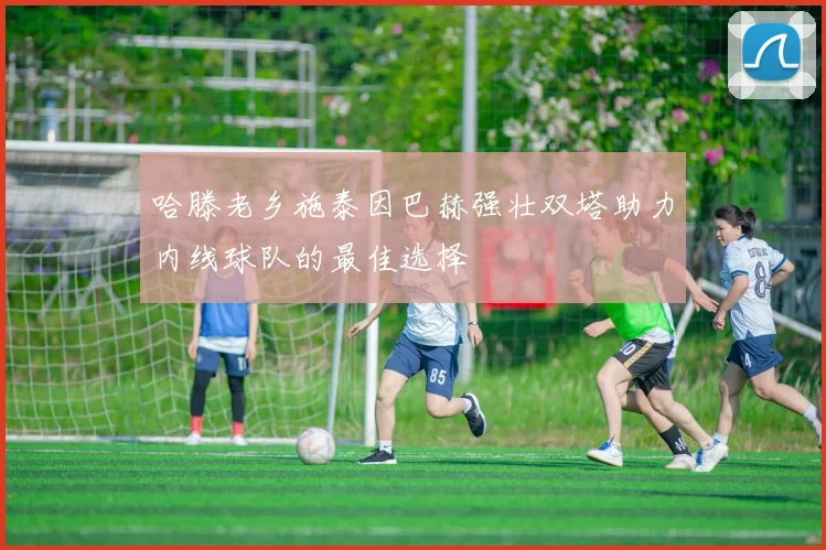 哈滕老乡施泰因巴赫强壮双塔助力内线球队的最佳选择