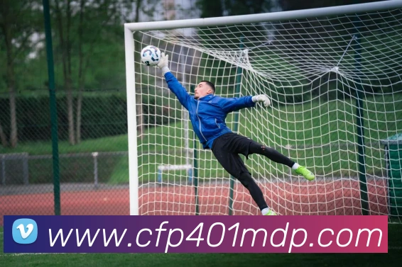App界面